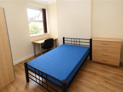 Picture 13